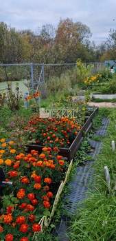 Дом 40м², 2-этажный, участок 6 сот.