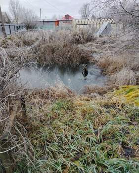 Дом 50м², 2-этажный, участок 9 сот.