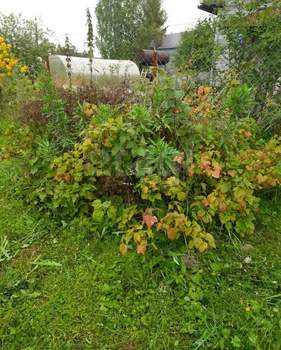 Дача 35м², 2-этажный, участок 5 сот.