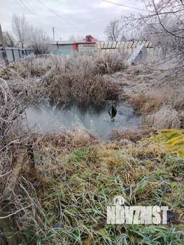 Дом 50м², 2-этажный, участок 9 сот.