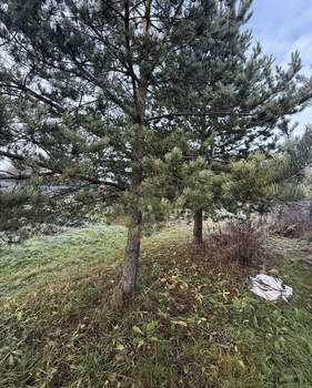 Дом 35м², 2-этажный, участок 8 сот.