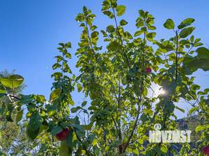 Дача 47м², 2-этажный, участок 9 сот.