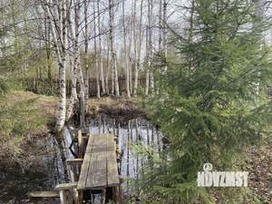 Дом 35м&sup2;, 1-этажный, участок 13 сот.  