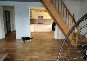 Дом 63м&sup2;, 2-этажный, участок 8 сот.  