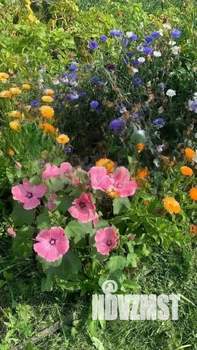 Дом 26м&sup2;, 1-этажный, участок 6 сот.  