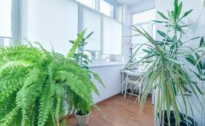 Дом 656м&sup2;, 2-этажный, участок 12 сот.  