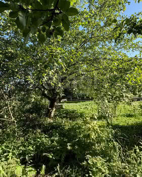 Дом 45м², 2-этажный, участок 12 сот.  