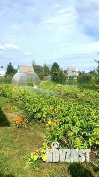 Дом 26м&sup2;, 1-этажный, участок 6 сот.  