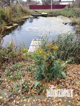 Дом 30м&sup2;, 2-этажный, участок 9 сот.  