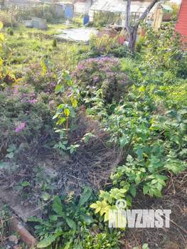 Дача 20м², 1-этажный, участок 3 сот.  