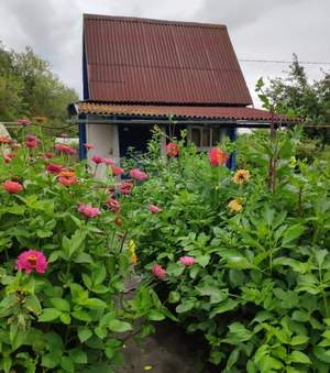 Фото дома, дачи на продажу (2)