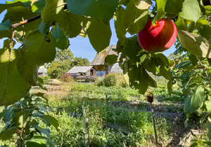 Дом 47м², 2-этажный, участок 9 сот.  