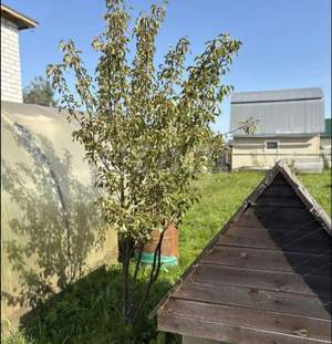 Дача 20м&sup2;, 2-этажный, участок 520 сот.  