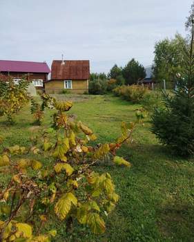 Дом 60м&sup2;, 2-этажный, участок 9 сот.  