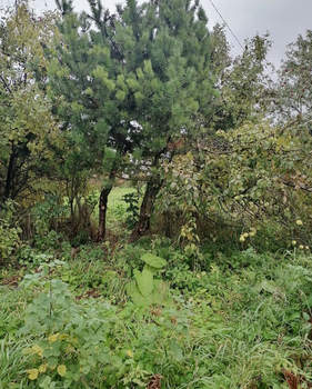 Дом 30м², 2-этажный, участок 4 сот.  