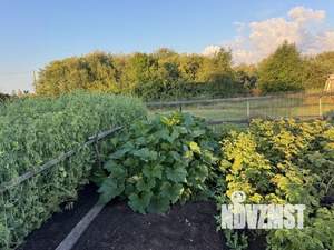 Дом 32м², 2-этажный, участок 6 сот.  