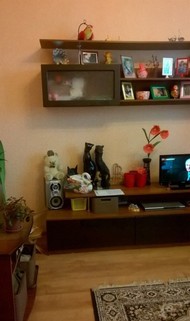 комната в 3-к квартире, 18м2, 1/2 этаж
