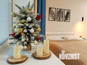 Студия квартира, посуточно, 30м2, 8/10 этаж