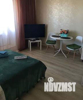 1-к квартира, посуточно, 24м2, 11/12 этаж