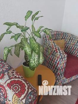 2-к квартира, посуточно, 55м2, 1/5 этаж