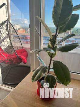 1-к квартира, посуточно, 41м2, 13/13 этаж