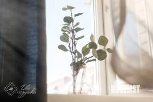 1-к квартира, посуточно, 35м2, 6/10 этаж