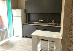 Студия квартира, на длительный срок, 20м2, 2/12 этаж