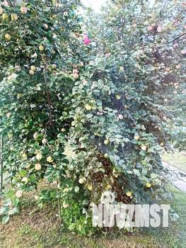 2-к квартира, посуточно, 75м2, 1/1 этаж