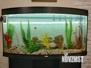 1-к квартира, посуточно, 33м2, 4/5 этаж