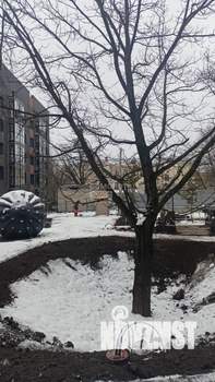 2-к квартира, вторичка, 68м2, 2/4 этаж