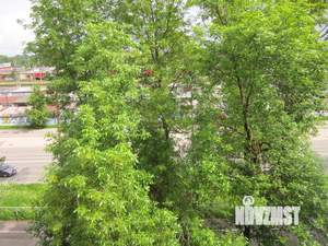 1-к квартира, вторичка, 29м2, 5/5 этаж